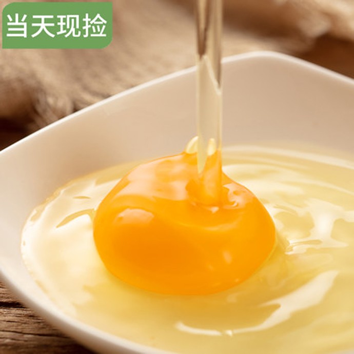 农家鸡蛋 10斤起售